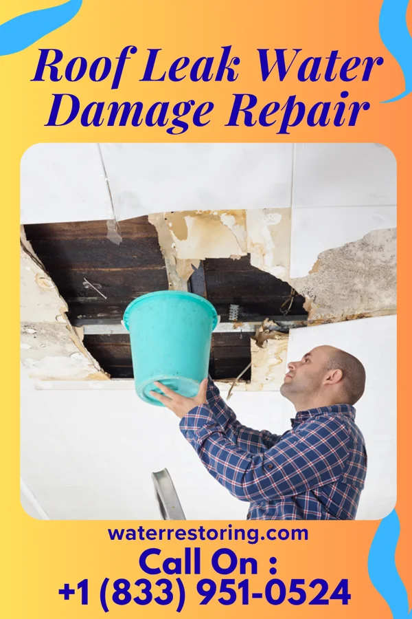 Roof Leak Water Damage Repair in Reidsville, GA